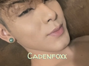 Cadenfoxx