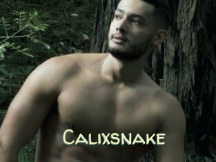Calixsnake