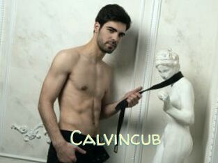 Calvincub