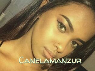 Canelamanzur