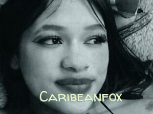 Caribeanfox