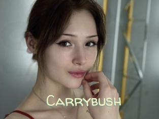 Carrybush