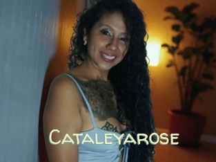 Cataleyarose