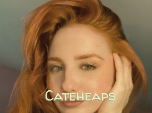 Cateheaps