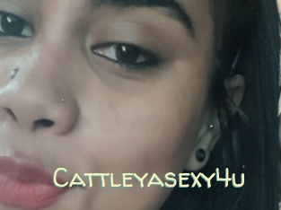 Cattleyasexy4u