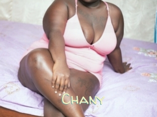 Chany