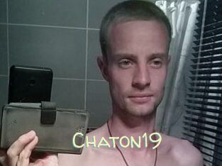 Chaton19