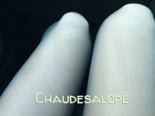 Chaudesalope
