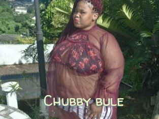 Chubby_bule
