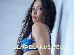 Clarelandswell