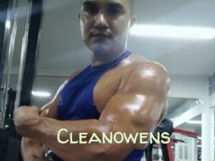Cleanowens