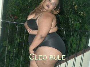Cleo_bule