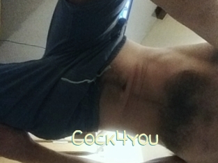cock4you Sexy Tchat