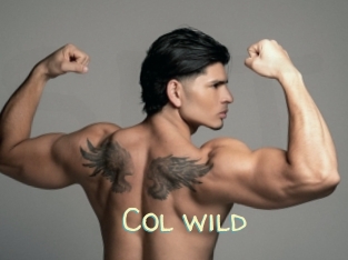 col_wild Sexy Tchat