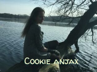 Cookie_anjax