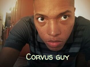 Corvus_guy