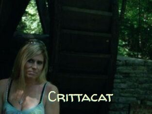 Crittacat