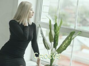 Crocus