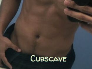 Cubscave