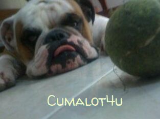 Cumalot4u