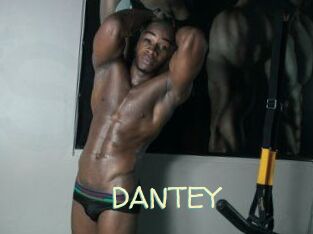 DANTE_Y