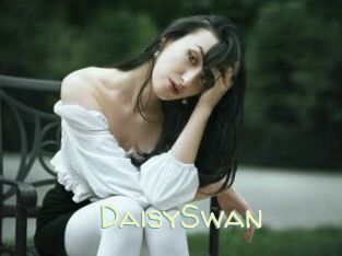 DaisySwan