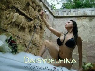 Daisydelfina