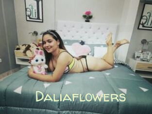 Daliaflowers