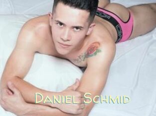 Daniel_Schmid