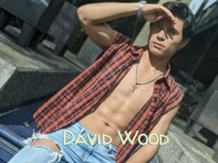 David_Wood