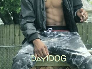 Day1DOG