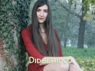 Didgeridoo