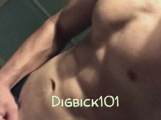 Digbick101