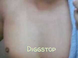Diggstop