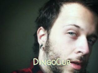 DingoCub