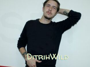 DitrihWild