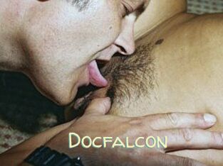 Docfalcon