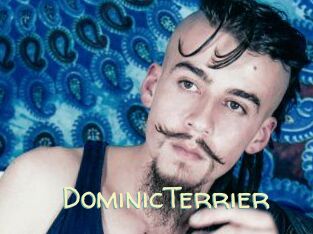 DominicTerrier