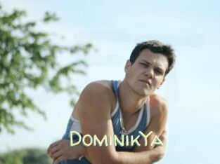 DominikYa