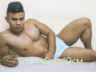 DylanStud19cm