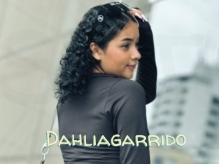 Dahliagarrido