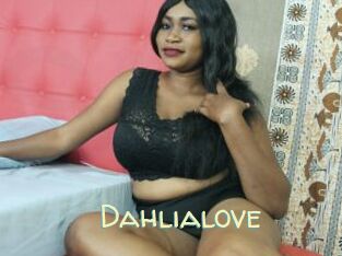 Dahlialove