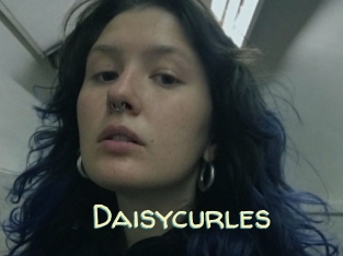 Daisycurles