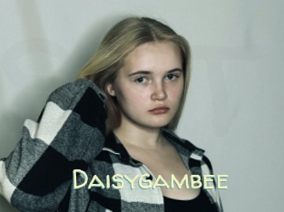Daisygambee