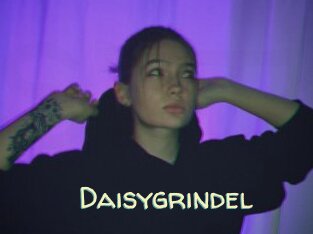Daisygrindel