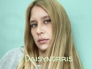 Daisynorris
