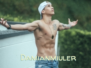 Damianmiuler