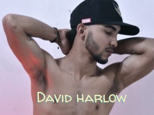 David_harlow