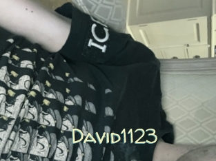 David1123
