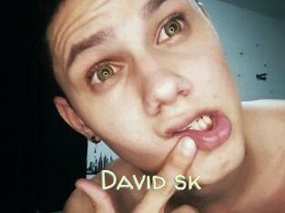 David_sk